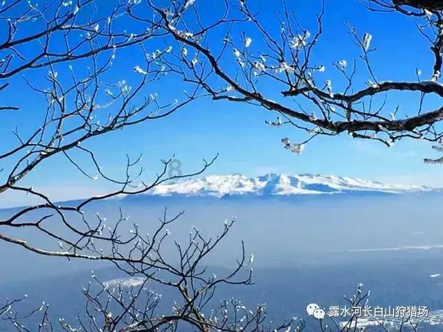 飞跃沙丘的小球